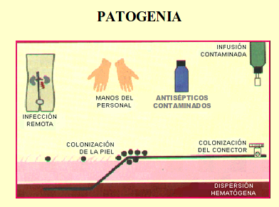 figura1