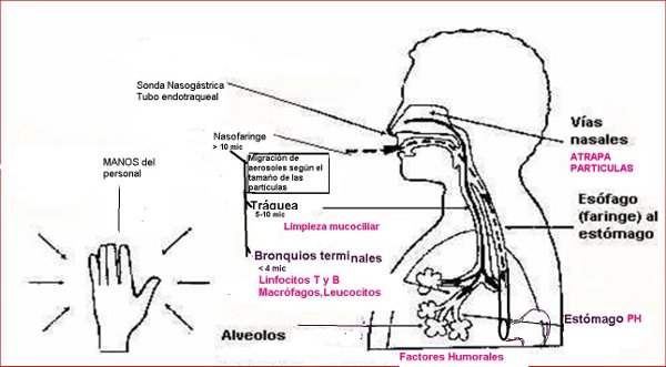 slide0001_image003